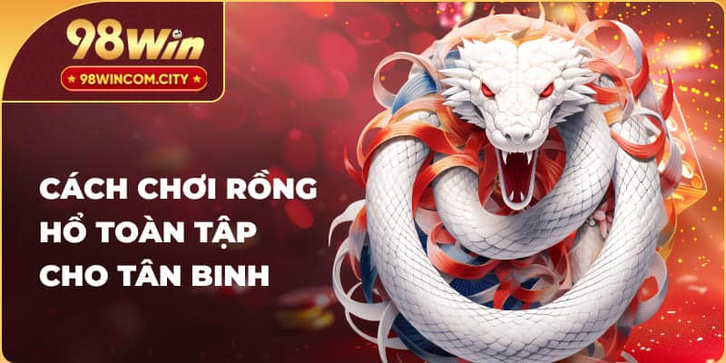 Cách chơi Rồng Hổ toàn tập cho tân binh