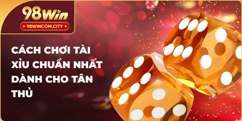 Cách chơi tài xỉu chuẩn nhất dành cho tân thủ